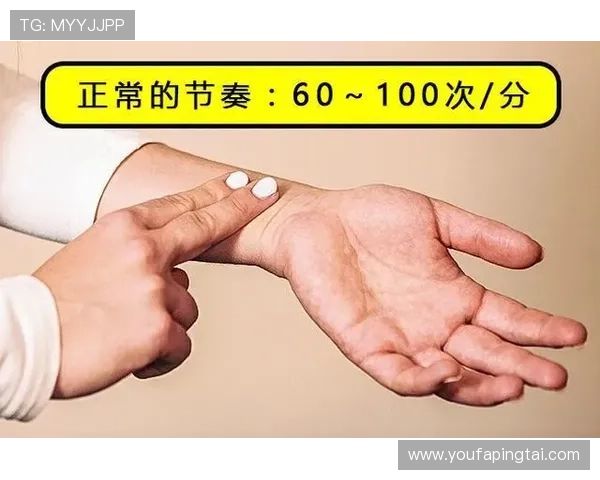 丽波真人测试用户体验评测，真实反馈助你了解测试的真实效果与价值